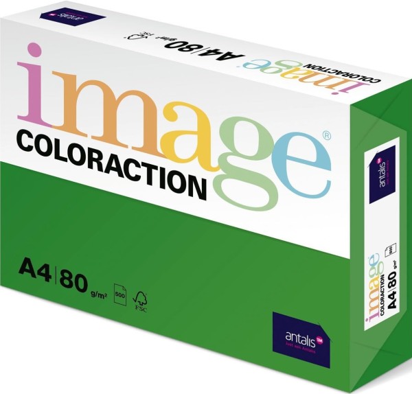 Image Coloraction, Dublin / Dunkelgrün (A25), 80 g/m², DIN A4