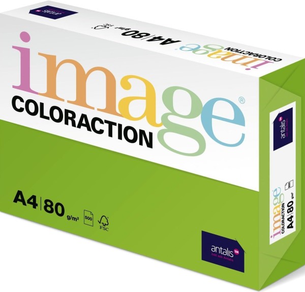 Image Coloraction Java / Maigrün (A26), 80 g/m², DIN A4
