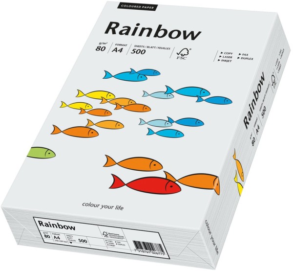 Rainbow 93 hellgrau, farbiges Kopierpapier, 80 g/m², DIN A4