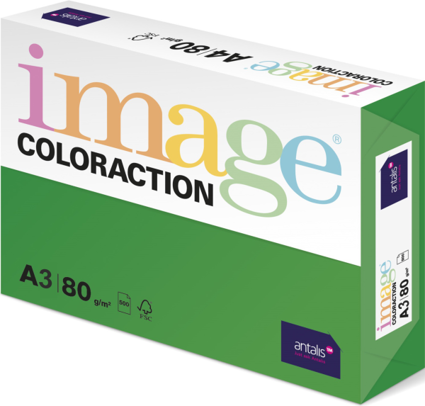 Image Coloraction, Dublin / dunkelgrün (A25), DIN A3 BB (297 x 420 mm)