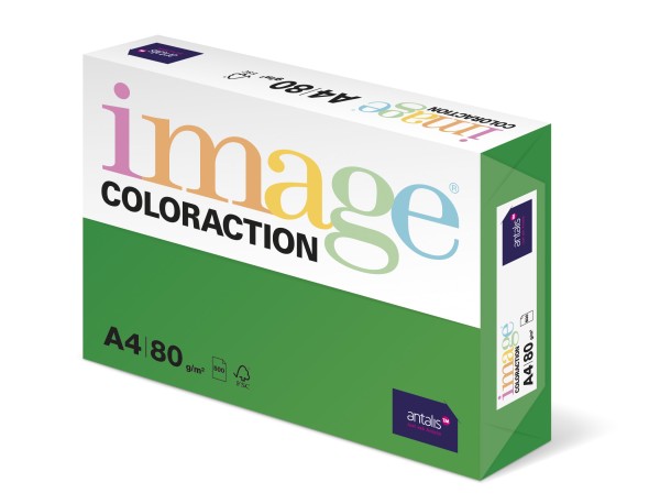 Image/Coloraction Dublin/dunkelgrün (A25) - DIN A3 BB (297 x 420 mm)