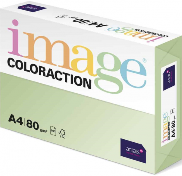 Image Coloraction Jungle / Hellgrün (A21), 80 g/m², DIN A4